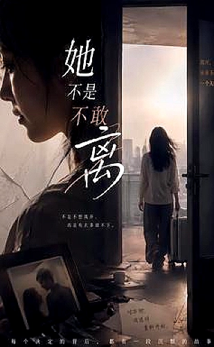 奇趣美术馆（中配版）海报