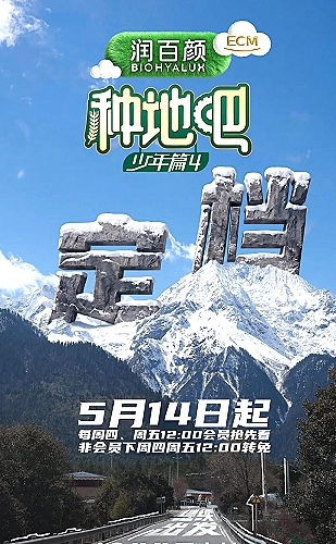 东大高武学院海报
