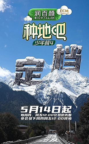 双枪红娘子海报